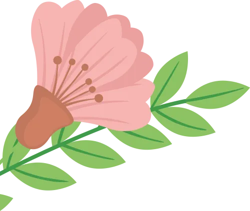 中考学习方法分享:找准方法,坚持下去,不负努力 第11张 中考学习方法分享:找准方法,坚持下去,不负努力 第11张