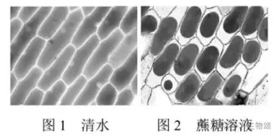 2025北京高考生物真题官方解析 第6张 2025北京高考生物真题官方解析 第6张