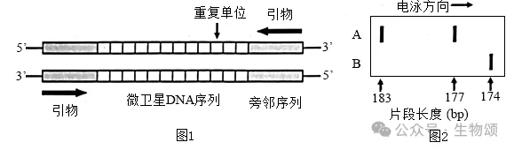 2025北京高考生物真题官方解析 第13张 2025北京高考生物真题官方解析 第13张