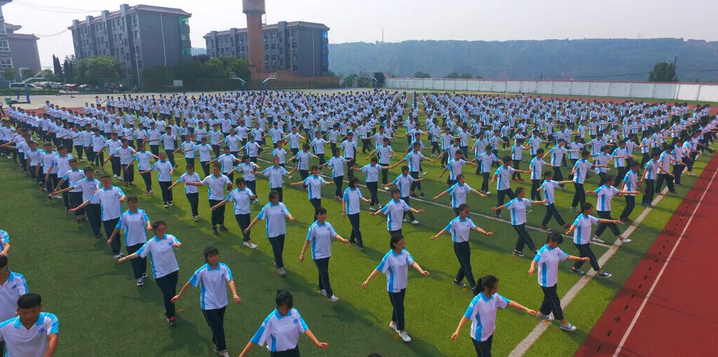 中考落榜生的未来:600多万孩子的命运,被一张考卷改写 第1张 中考落榜生的未来:600多万孩子的命运,被一张考卷改写 第1张