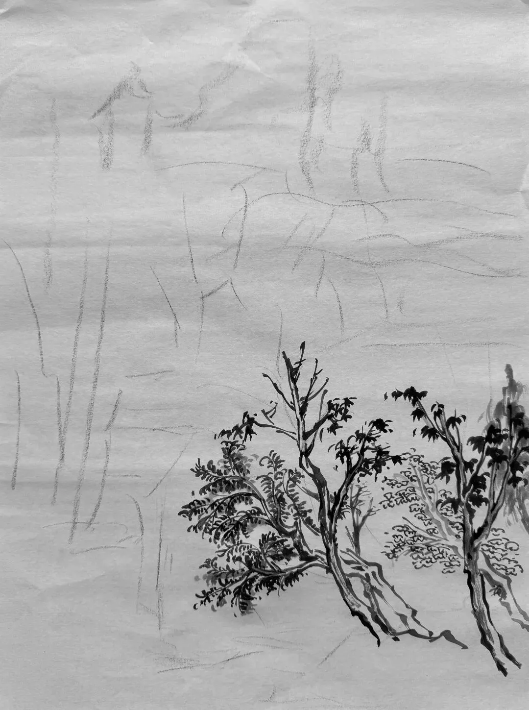 【写意带画】湖师大23年真题《清幽》直播步骤示范!内含免费教程! 第5张