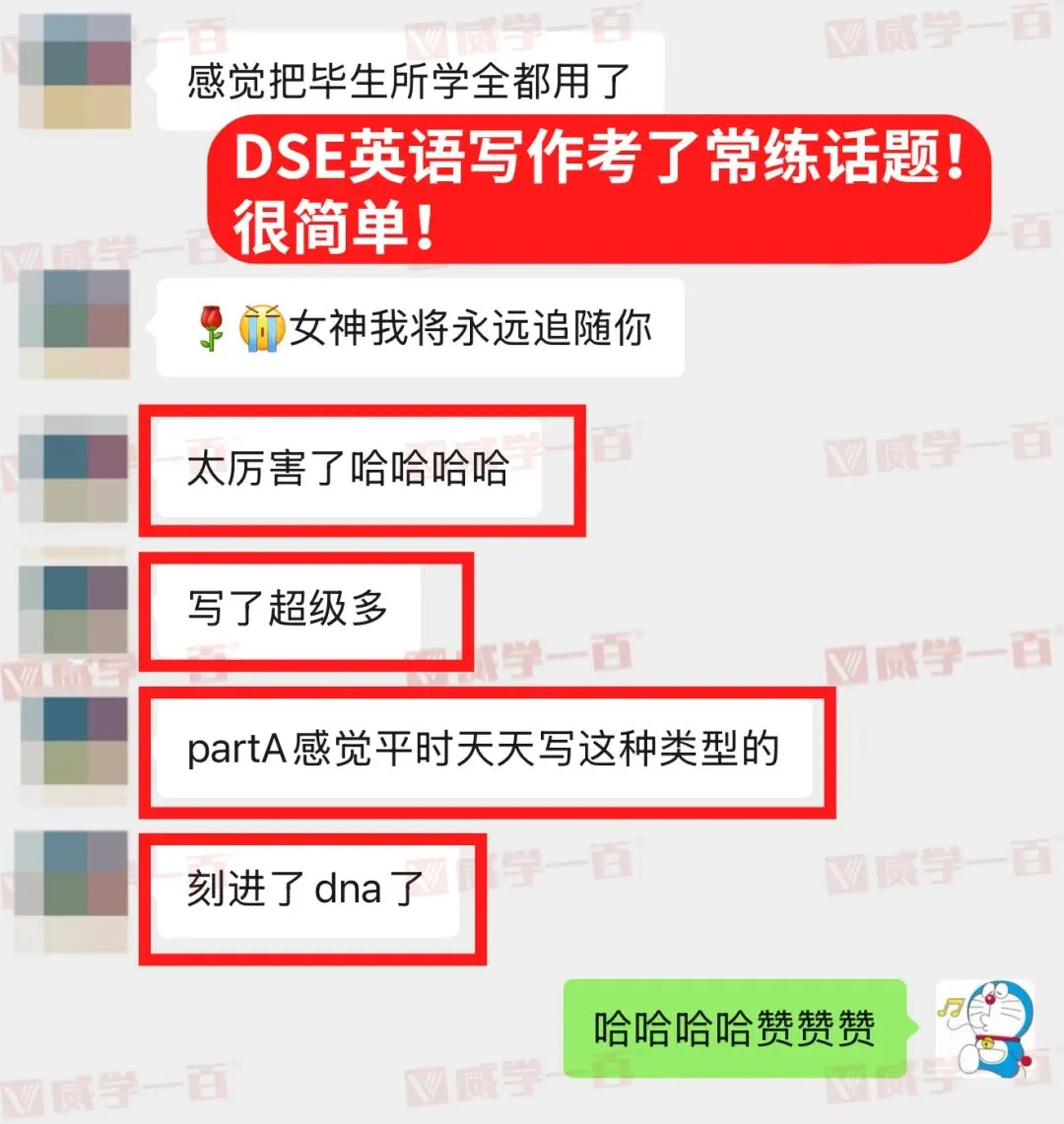 真题卷超全解读!26年DSE英语阅读/写作考情回顾! 第5张