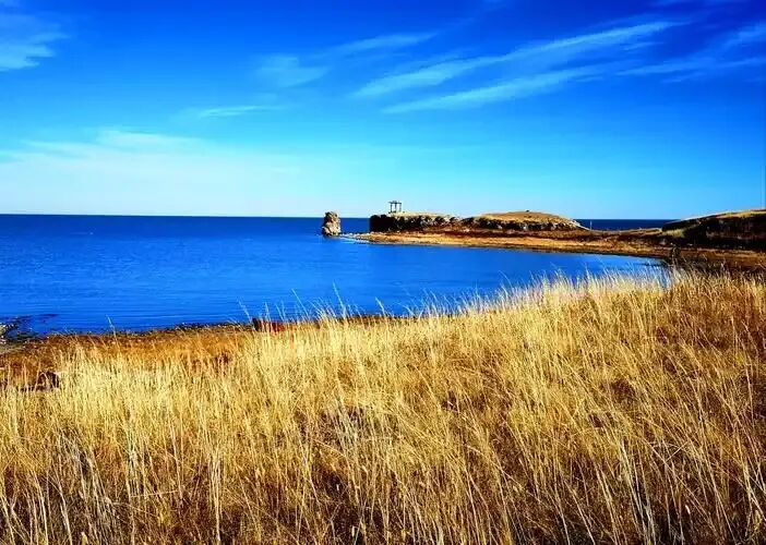 2026年北京东城区高三一模语文试卷 第4张