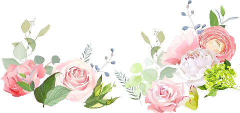 平望二中中考 升势喜人再创佳绩 第5张