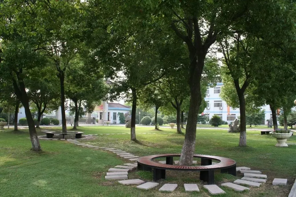 平望二中中考 升势喜人再创佳绩 第9张