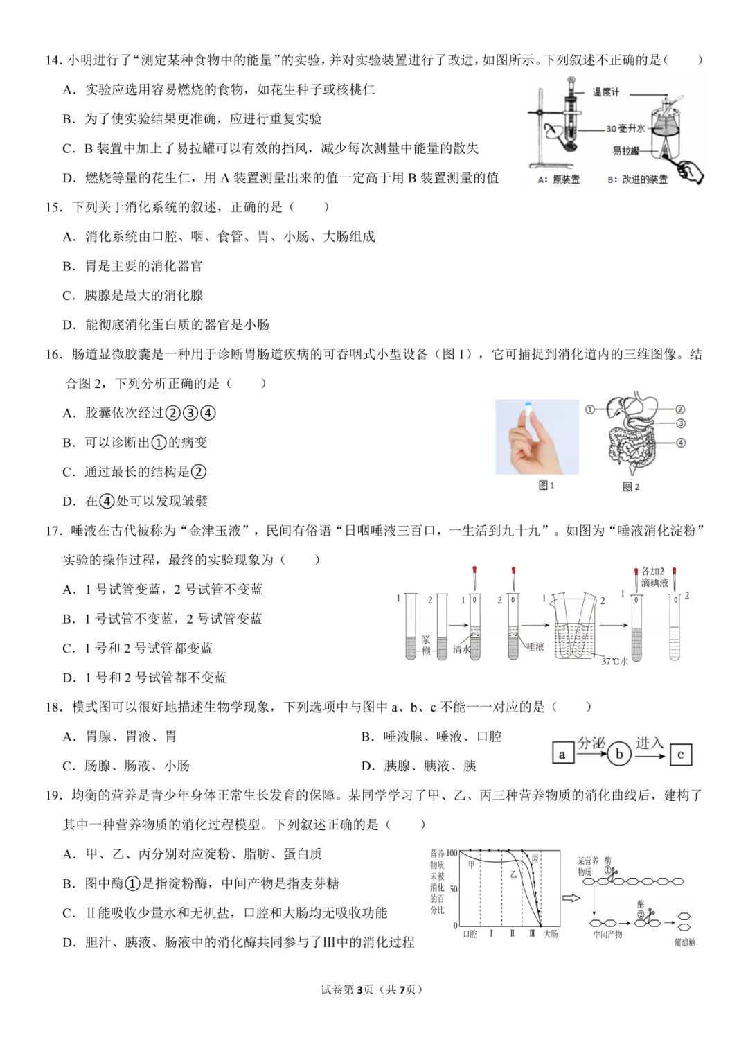 新七下生物过关卷|一套试卷覆盖人的生殖发育、消化与吸收考点,高效检测学习效果,弯道超车! 第5张