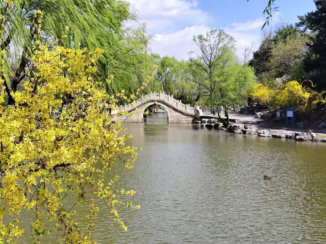 清北名师带刷真题,直通丘成桐顶尖赛道|2026英才集训营限招80人 第2张 清北名师带刷真题,直通丘成桐顶尖赛道|2026英才集训营限招80人 第2张