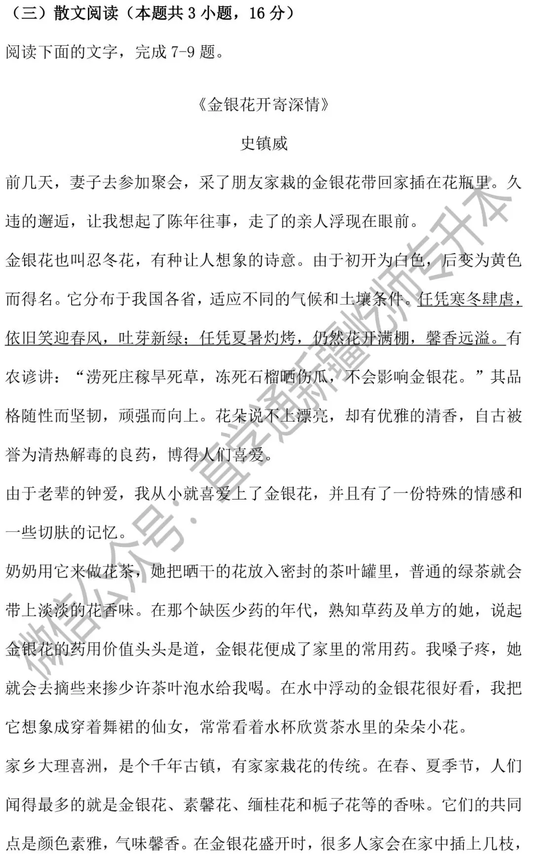 2026新疆专升本语文真题卷 第10张