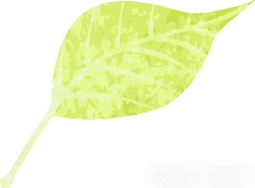 头条丨中考满分作文:10篇不同主题作文(含题目+解析)|陈彪 第6张 头条丨中考满分作文:10篇不同主题作文(含题目+解析)|陈彪 第6张