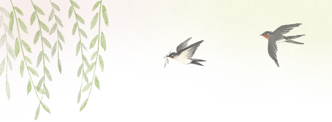 2026中考一模全攻略 第1张 2026中考一模全攻略 第1张