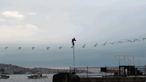 陈海波 | 苏州市中考作文真题写作指导 第3张