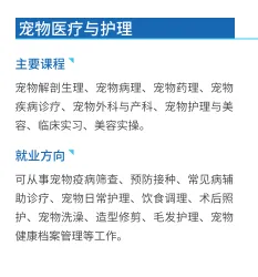 中考300分还有出路吗?这所学校毕业生被华为、周大福抢着要 第33张