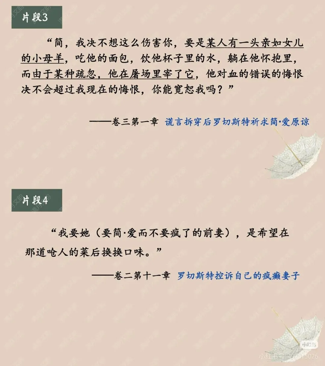 中考名著复习《简爱》 ︳破译封面密码 探寻简爱之美 读后提升课件+教案(逐字稿)+导学案 第6张