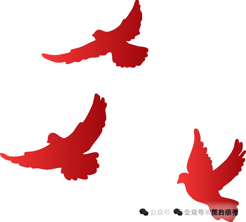 科目三刚练了2天就让模拟然后考试,合理吗? 第11张 科目三刚练了2天就让模拟然后考试,合理吗? 第11张