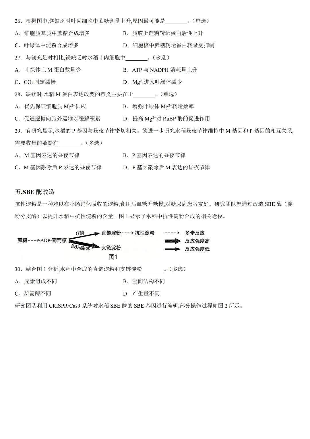 最新2026上海11区高三二模生物试卷分享(新增黄浦/宝山/杨浦/闵行)合集含答案 第11张
