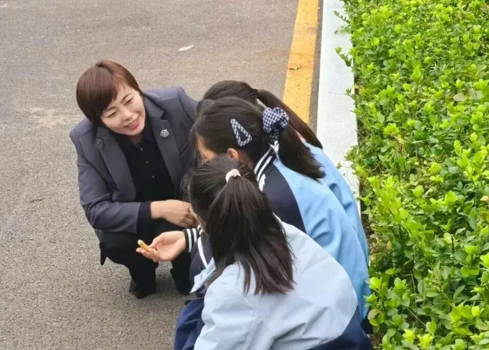 【中考阅读指导】窗台那棵向日葵(许锋)四川广安2025 第6张 【中考阅读指导】窗台那棵向日葵(许锋)四川广安2025 第6张