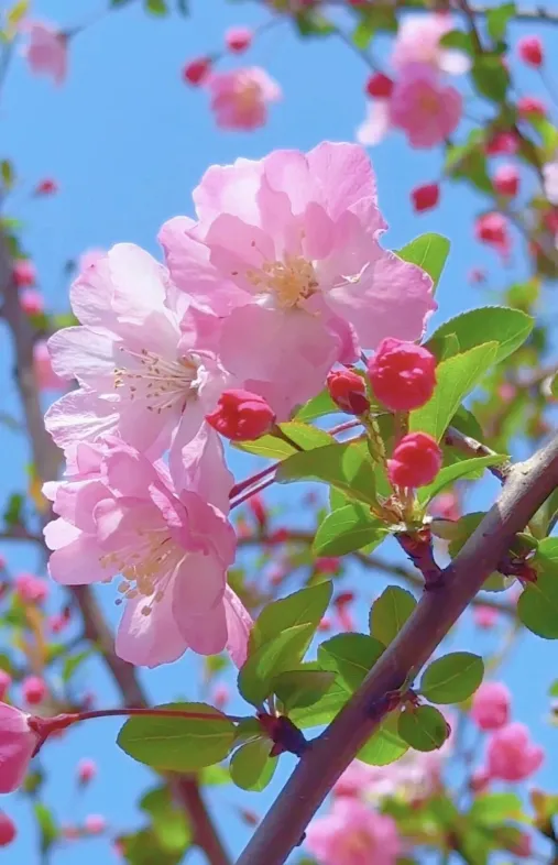 2026江西中考作文风向题十:《让老手艺“活”在当下》 第1张