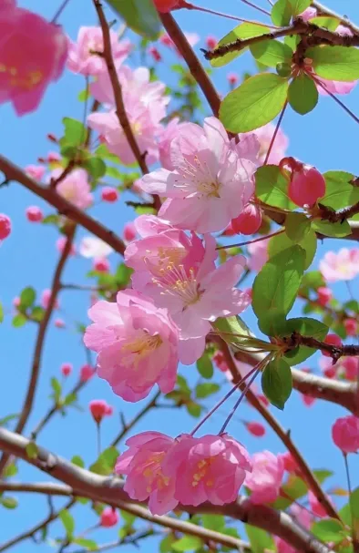 2026江西中考作文风向题十:《让老手艺“活”在当下》 第2张