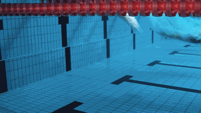 中考游泳早准备更稳|茂名广外学生蛙泳班火热招生中 第14张 中考游泳早准备更稳|茂名广外学生蛙泳班火热招生中 第14张