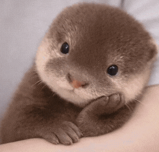 《初三地理试卷册2》相关答案 第1张 《初三地理试卷册2》相关答案 第1张