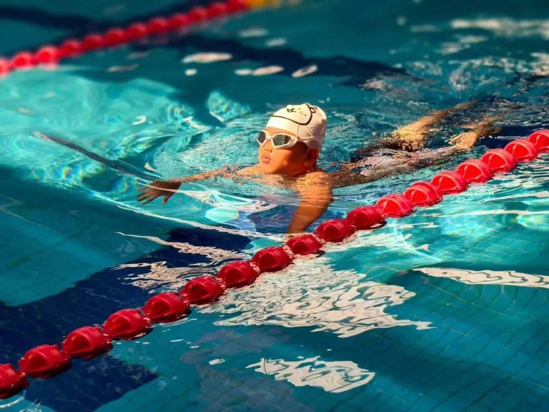 中考游泳早准备更稳|茂名广外学生蛙泳班火热招生中 第19张 中考游泳早准备更稳|茂名广外学生蛙泳班火热招生中 第19张