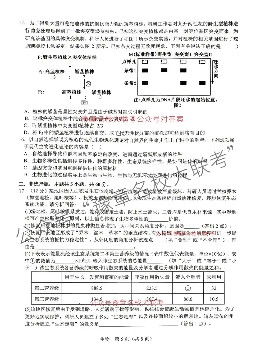 九科试题及答案| 2026届宜春市高三模拟考试宜春二模 第61张