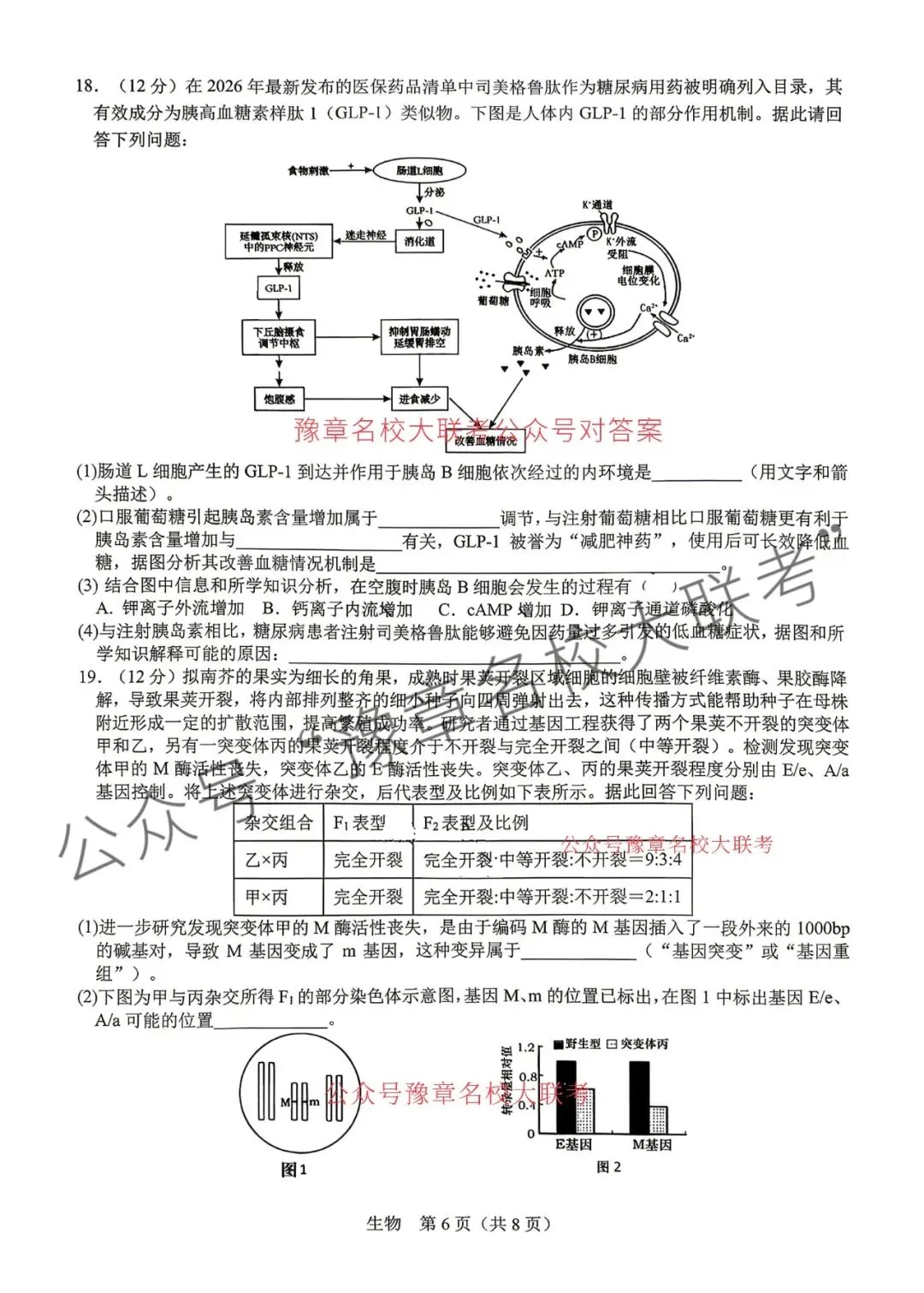 九科试题及答案| 2026届宜春市高三模拟考试宜春二模 第62张