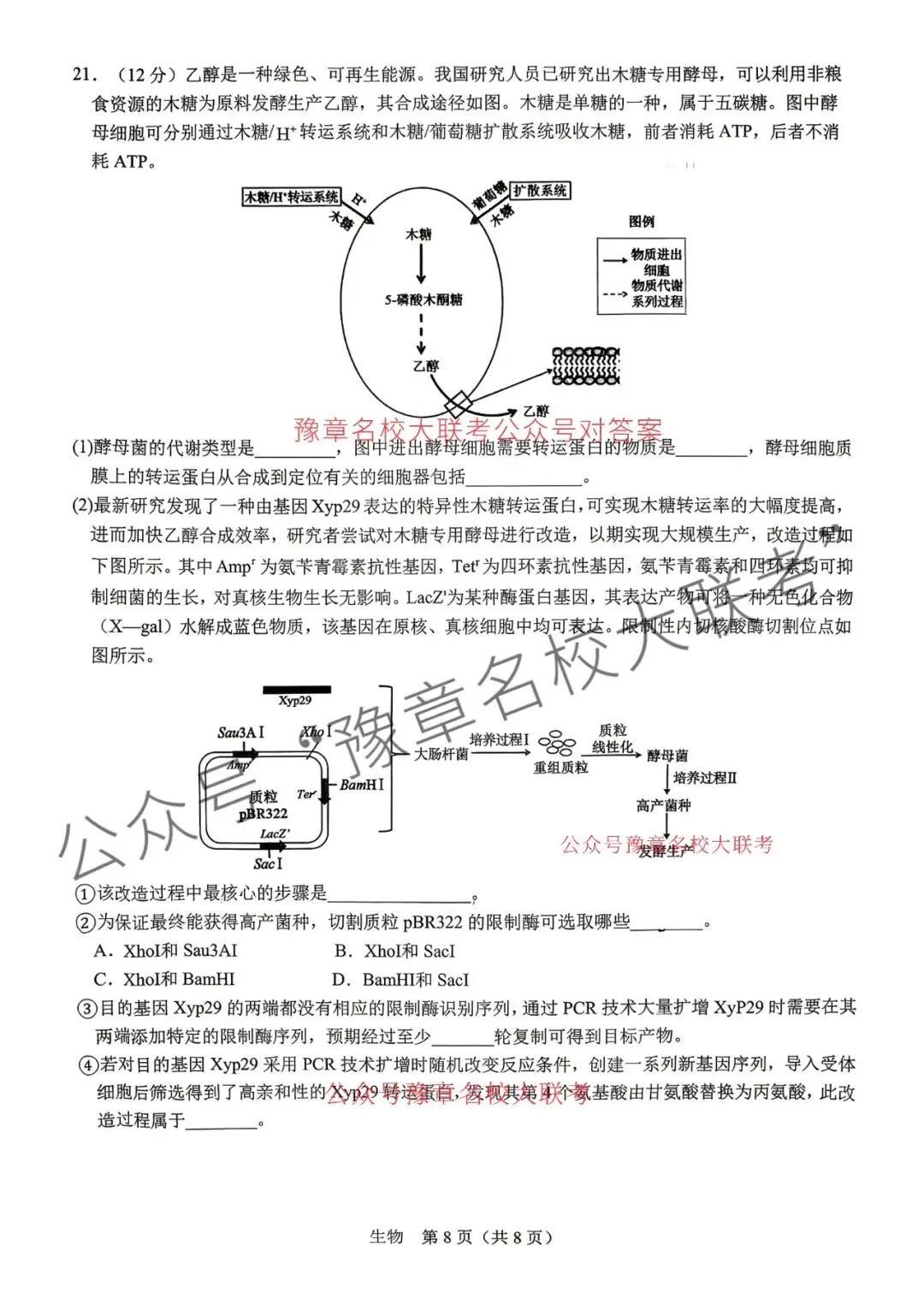 九科试题及答案| 2026届宜春市高三模拟考试宜春二模 第64张