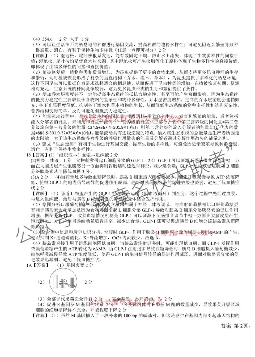 九科试题及答案| 2026届宜春市高三模拟考试宜春二模 第67张