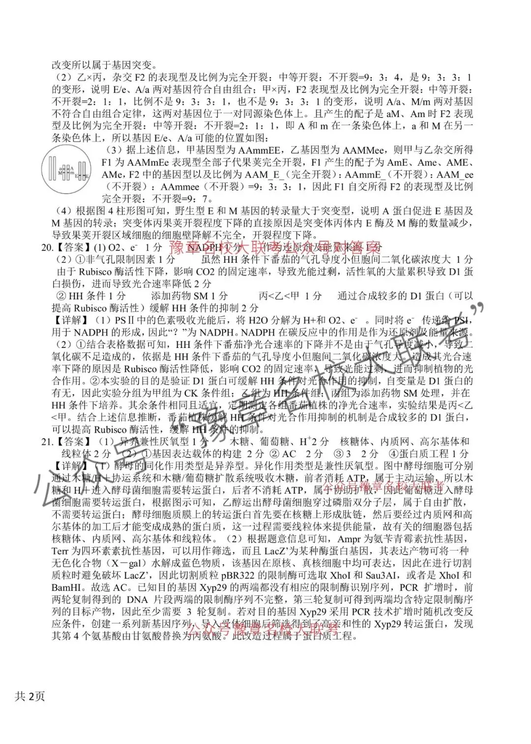 九科试题及答案| 2026届宜春市高三模拟考试宜春二模 第68张