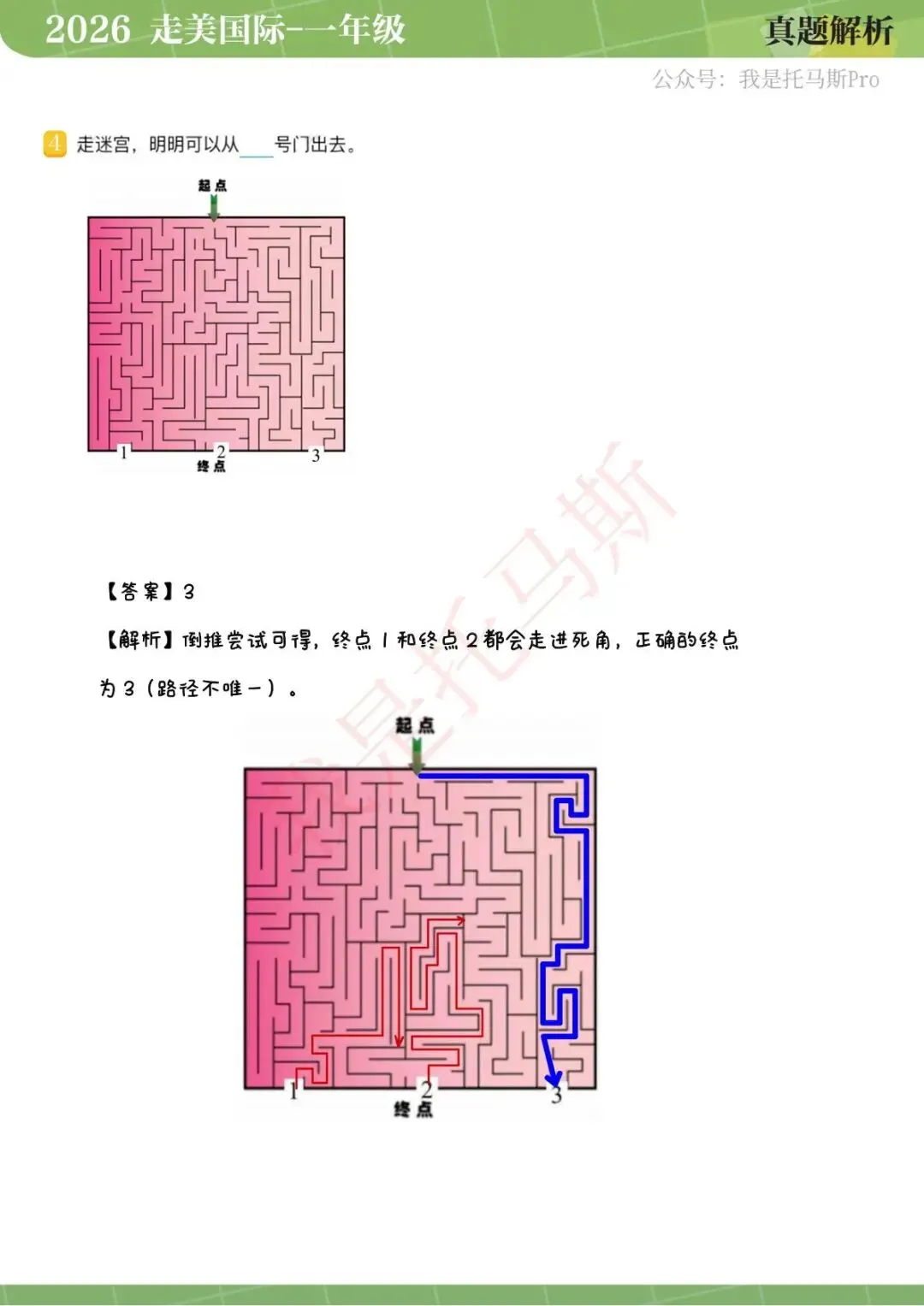 首发!4月11日走美国际1-6年级真题解析 第5张