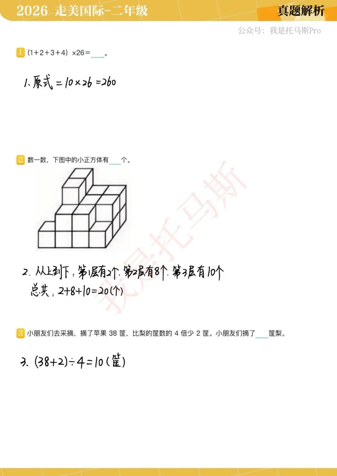 首发!4月11日走美国际1-6年级真题解析 第11张