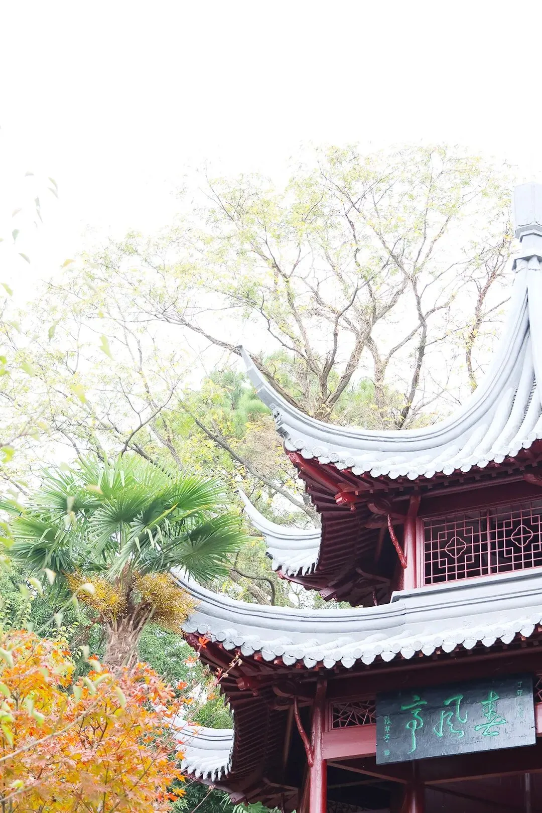 【高三各地模拟考试】2026届八省八校T8联考高三4月联合测试数学试题+答案 第13张 【高三各地模拟考试】2026届八省八校T8联考高三4月联合测试数学试题+答案 第13张