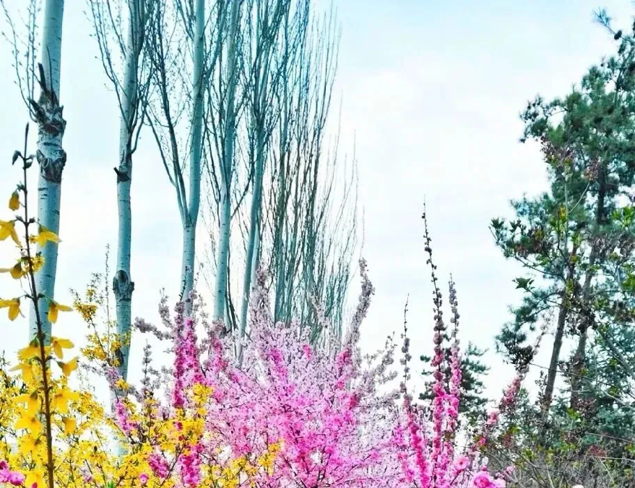 中考作文 不放弃,人生才能收获精彩 第1张