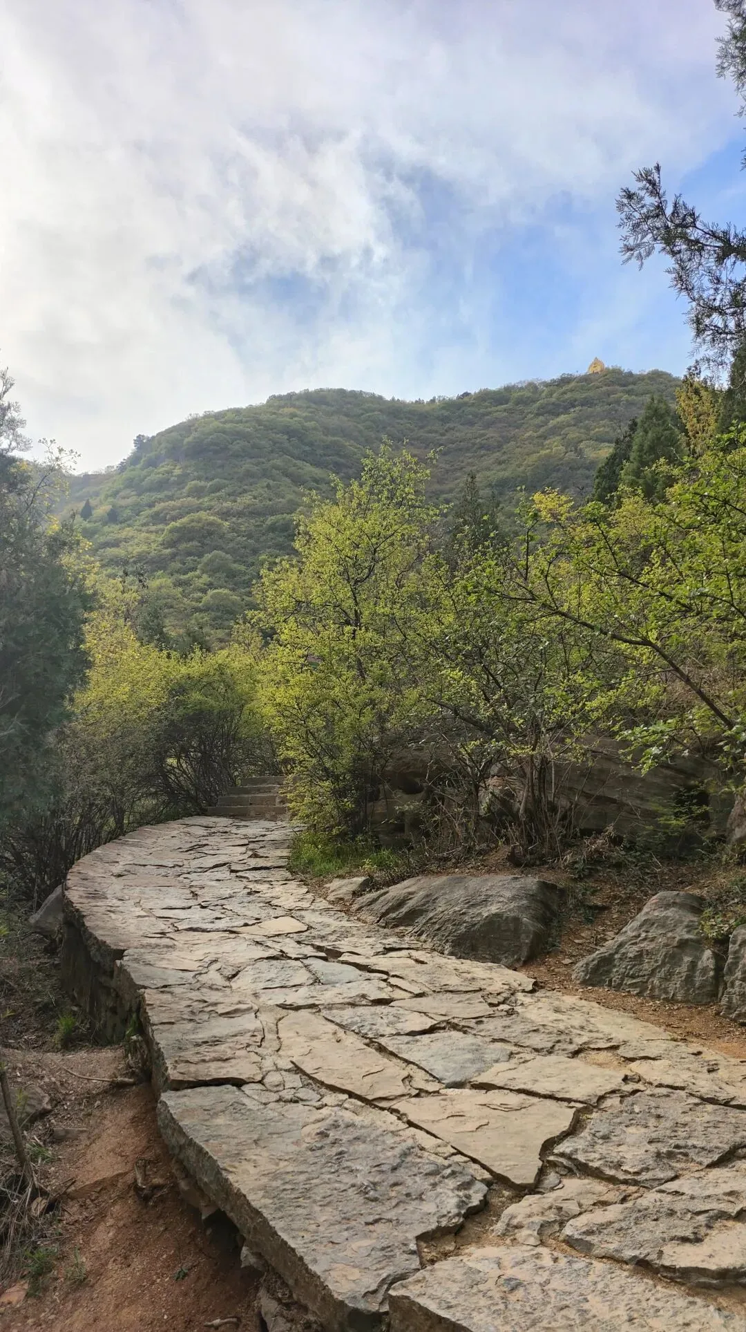 25-26湘豫名校高三4月联考数学试卷 第16张