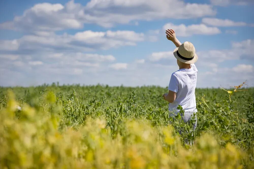 安徽巢湖市2026年中考一模数学试题及答案 第11张