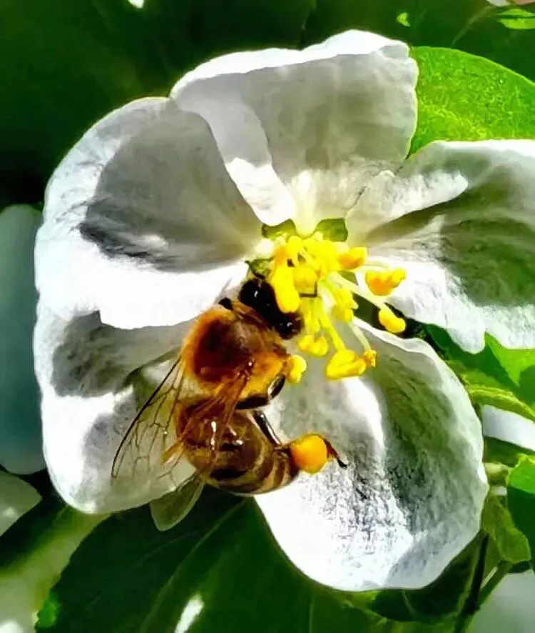 研题悟理明方向 守正创新备中考 ——2026年中考物理复习备考研讨发言稿 第8张