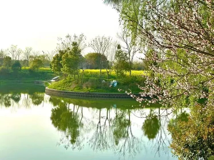 研题悟理明方向 守正创新备中考 ——2026年中考物理复习备考研讨发言稿 第9张