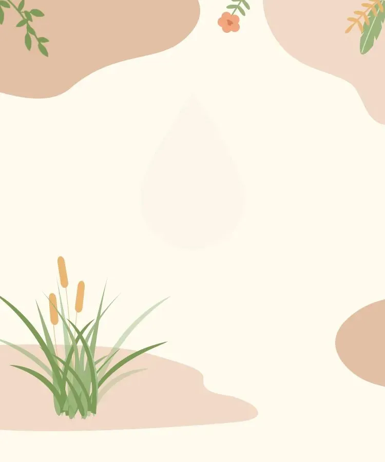 2026.4邯郸中考一模全科试卷含答案(可下载)(数学) 第1张