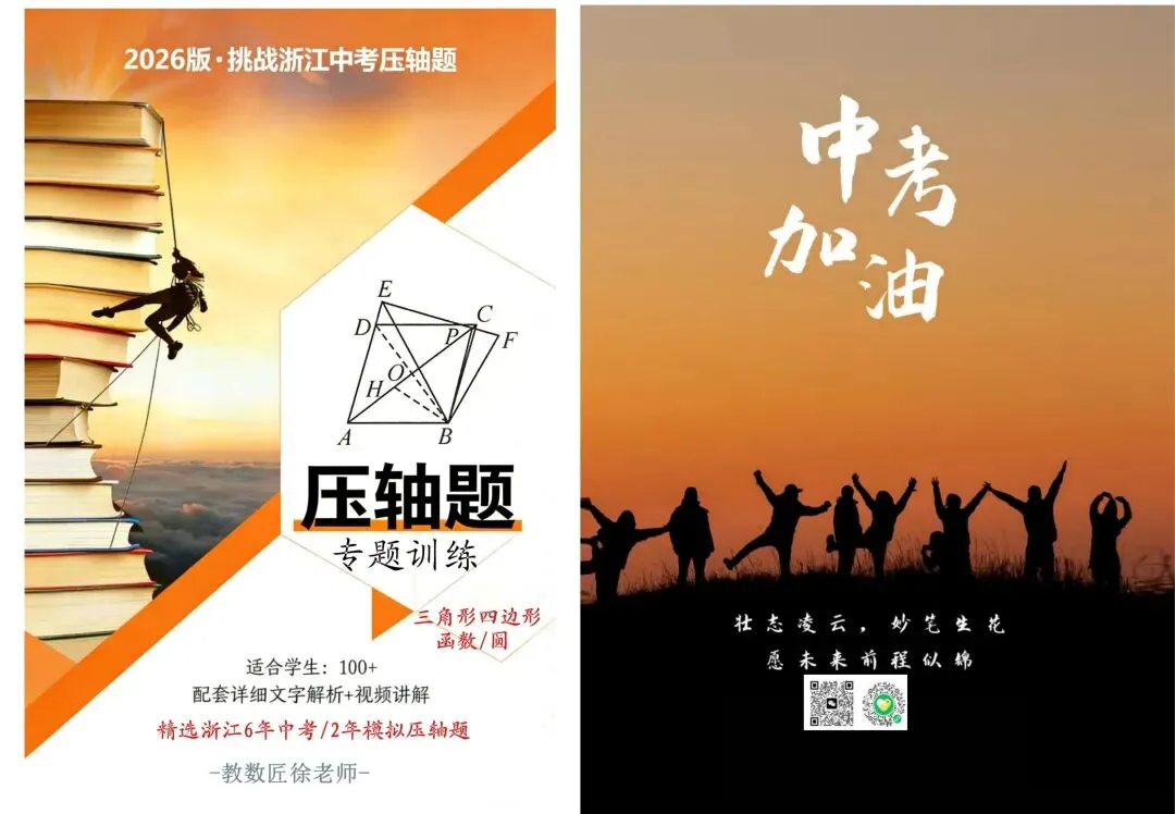 【备战模拟考】2025年衢州中考市统测(二模)试卷(全科含答案) 第8张