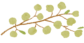 砺志笃行 决战中考 第21张