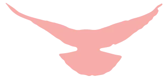 中考英语核心词汇高效速记:名词 4(picture-relation) 第5张 中考英语核心词汇高效速记:名词 4(picture-relation) 第5张