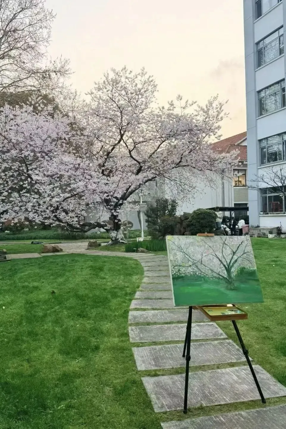 中考英语核心词汇高效速记: 名词 3(luck-piano) 第20张