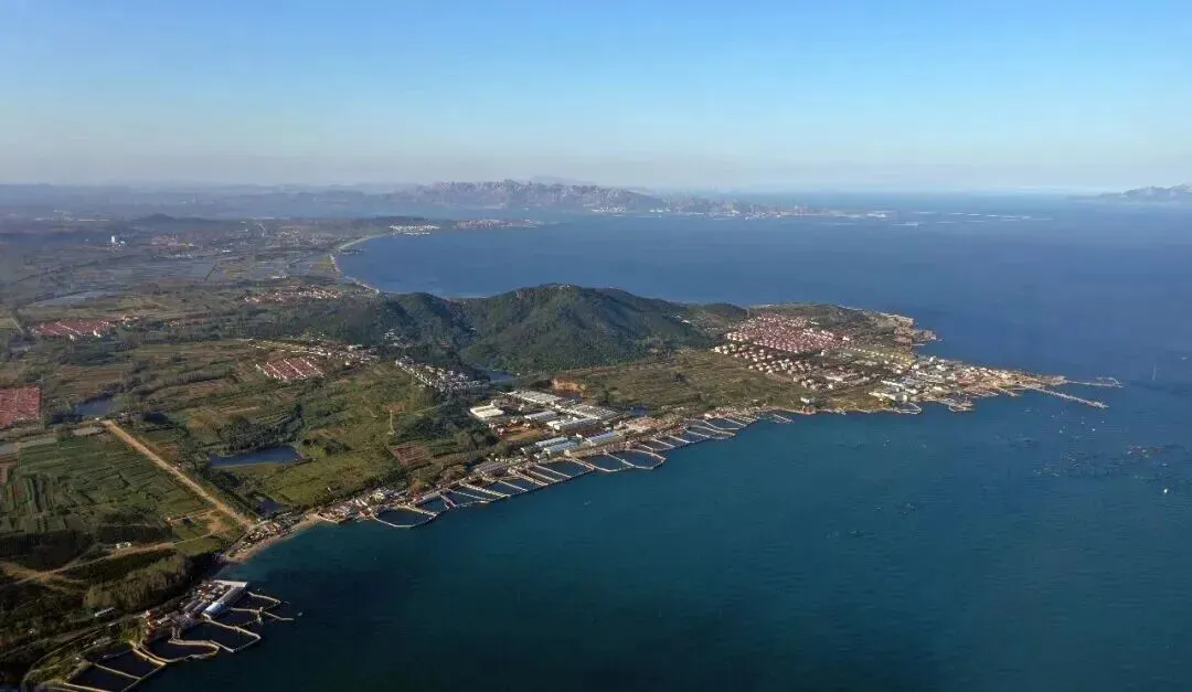 中考英语核心词汇高效速记:名词 4(picture-relation) 第15张 中考英语核心词汇高效速记:名词 4(picture-relation) 第15张