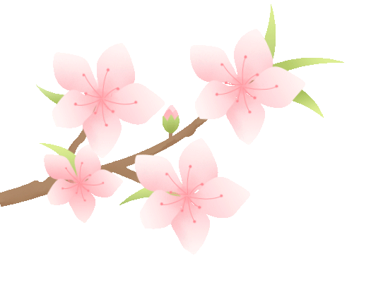 中考英语核心词汇高效速记:名词 4(picture-relation) 第17张 中考英语核心词汇高效速记:名词 4(picture-relation) 第17张