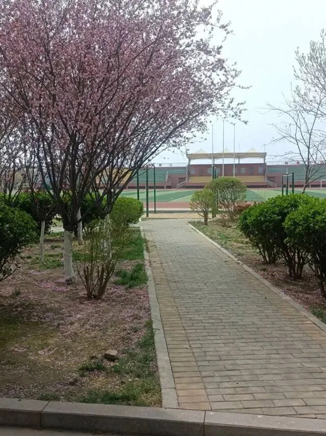 26真题:年轻人在二三线城市月薪收入过万,常常抱怨钱不够花,甚至月光.有人说他们是利己主义,只知道享乐.谈谈你对这个现象的看法. 第1张 26真题:年轻人在二三线城市月薪收入过万,常常抱怨钱不够花,甚至月光.有人说他们是利己主义,只知道享乐.谈谈你对这个现象的看法. 第1张