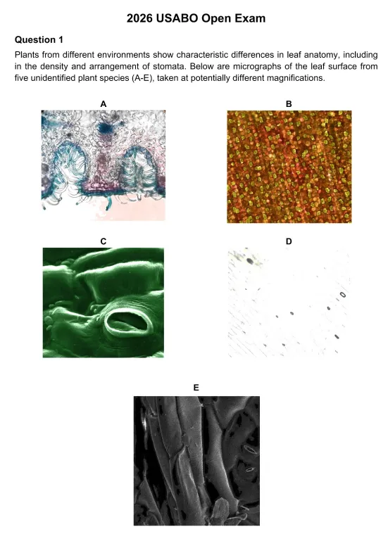 2026年USABO生物竞赛真题答案+详情解析,高清PDF可下载! 第2张