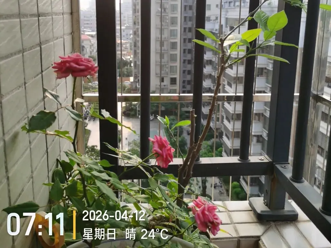 奔赴中考体育考场:致我亲爱的中考生 第1张