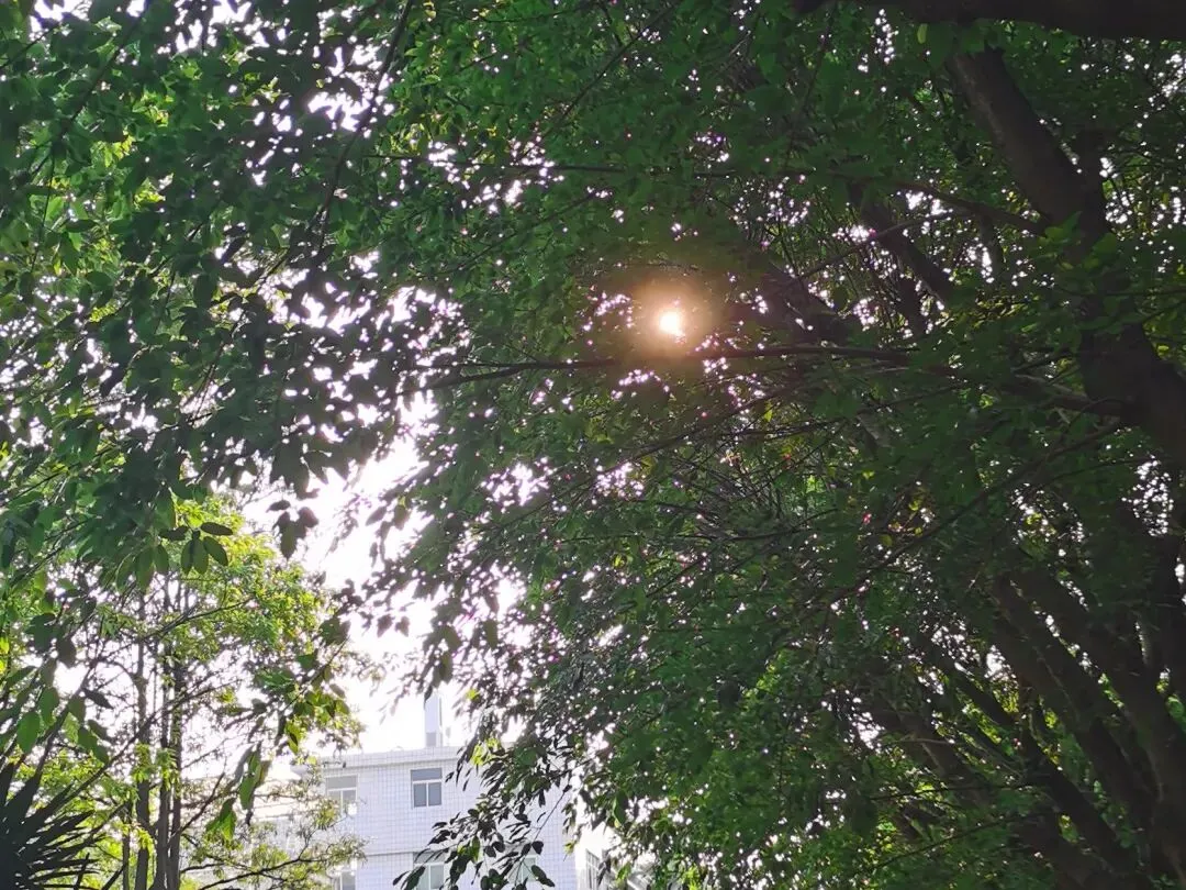 奔赴中考体育考场:致我亲爱的中考生 第2张