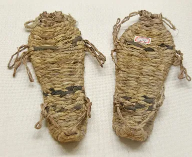 2026年中考历史二轮热点专题试卷4:红军长征胜利90周年(学生版) 第4张